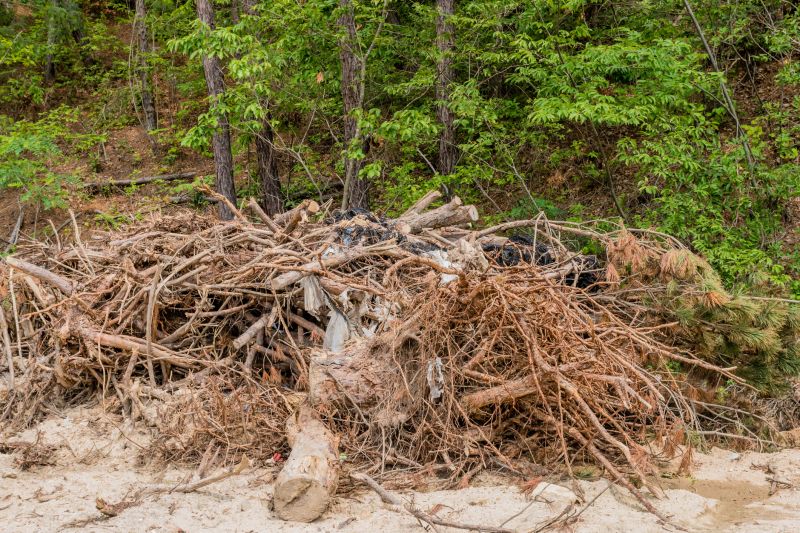 Top Rated Products for Tree Debris Removal