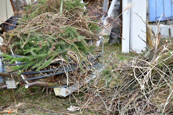 Grow your Tree Debris Removal business