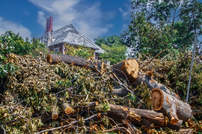 Products For Tree Debris Removals in use