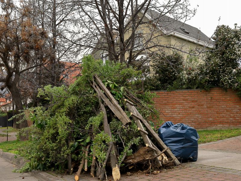 Clearing Debris After Storm