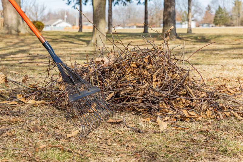 Spring Landscape Cleanup