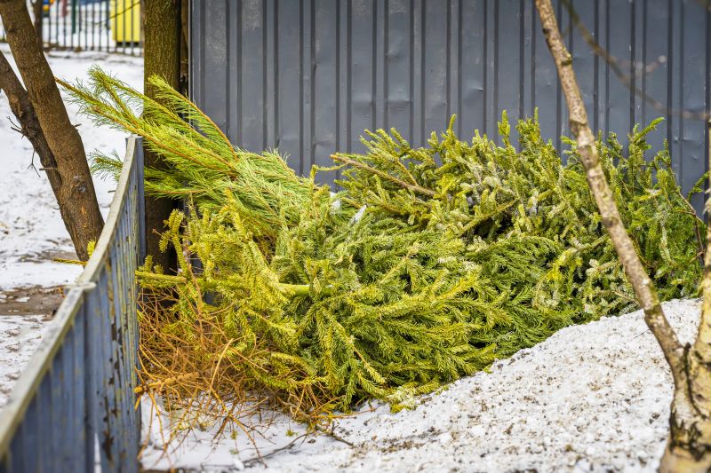 Winter Snow and Ice Hazards