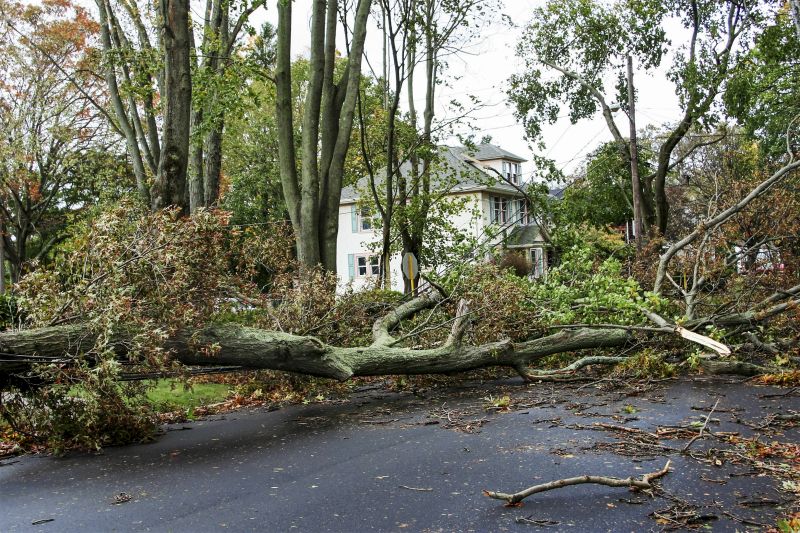 Storm-Related Debris Cleanup